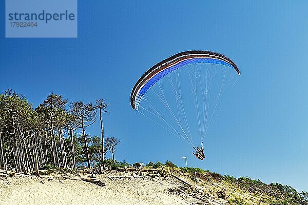 Paraglider im Landeanflug auf Düne  Dune du Pilat  blauer Himmel  Blick von unten  Arcachon  Gironde  Aquitanien  Frankreich  Europa