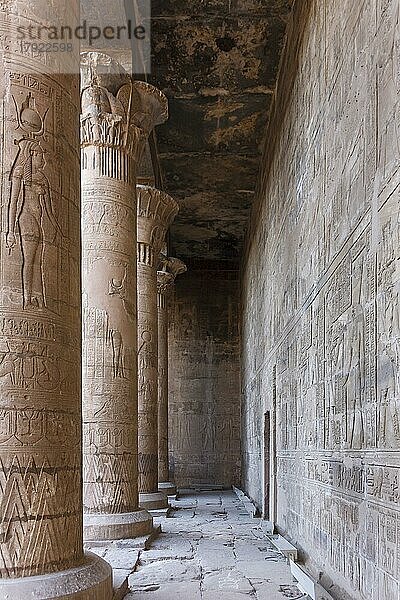 Tempel von Edfu  Horus Tempel  Edfu  Ägypten  Afrika