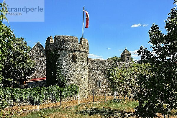 Historische Fleckenmauer mit Wehrturm in Flörsheim-Dalsheim  Monsheim  Rheinhessen  Rheinland-Pfalz  Deutschland  Europa