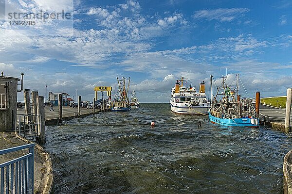 Fährhafen Strucklahnungshörn  Halbinsel Nordstrand  Fischkutter  Ausflugsschiff  Fähranleger  Nordsee  blauer Himmel  Nordfriesland  Schleswig-Holstein  Deutschland  Europa