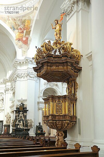 Innenansicht mit Kanzel vom barocken Dom St. Salvator  barock  Fulda  Hessen  Deutschland  Europa