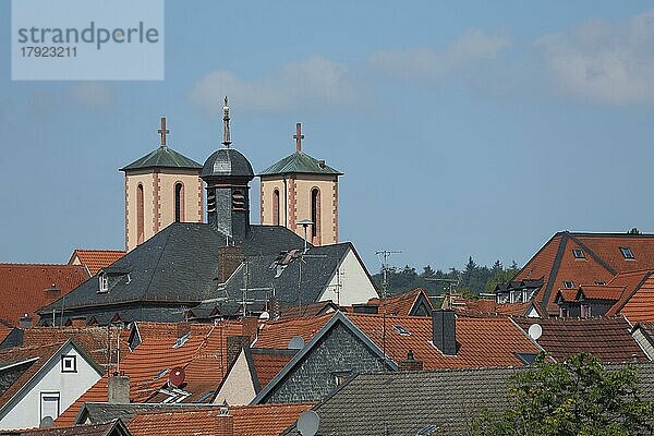 Dächer mit St. Peter Kiche und Rathaus  Gelnhausen  Hessen  Deutschland  Europa