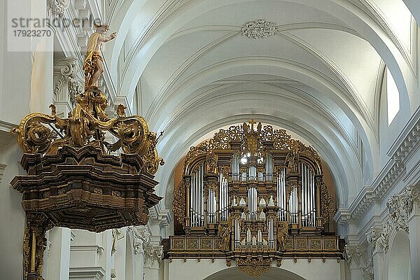 Innenansicht mit Orgel und Kanzel vom barocken Dom St. Salvator  barock  Fulda  Hessen  Deutschland  Europa