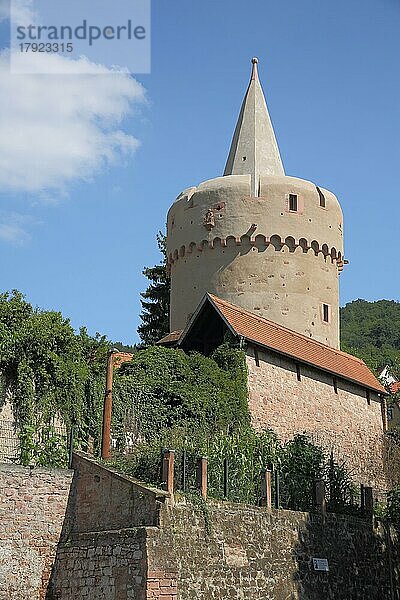 Hexenturm mit Spitze  Stadtmauer  Gelnhausen  Hessen  Deutschland  Europa