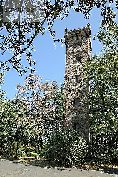 Aussichtsturm erbaut 1882  Bieber  Main  Offenbach  Hessen  Deutschland  Europa