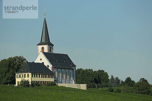Pfarrhaus und St. Peter und Paul Kirche mit Weinberge  Weinanbaugebiet  Hochheim am Main  Taunus  Hessen  Deutschland  Europa