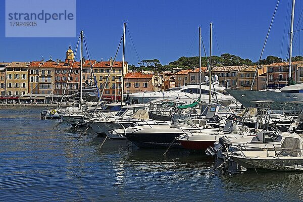 Hafen von Saint Tropez  Var  Französische Riviera  Provence-Alpes-Cote d'Azur  Frankreich  Europa