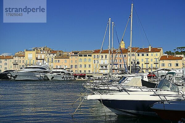 Hafen von Saint Tropez  Var  Französische Riviera  Provence-Alpes-Cote d'Azur  Frankreich  Europa