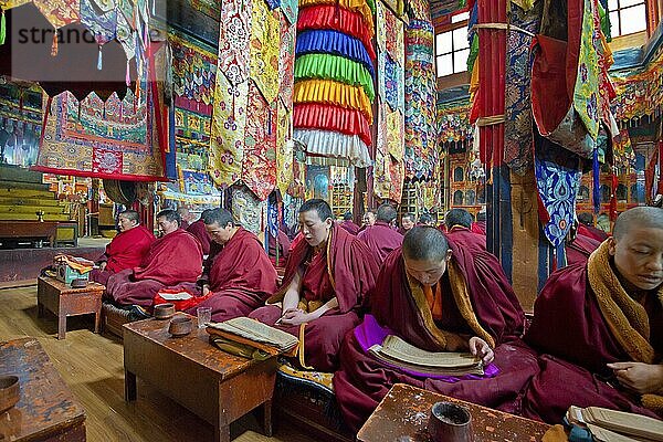 Buddhistische Nonnen bei einer Rezitation im Kloster Terdom  Nonnenkloster Tidro Gompa  Terdom  Tibet  China  Asien
