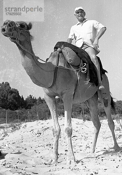 Der Tourismus steckte  wie hier im Jahre 1961  in den ersten Anfaengen  Tourist auf dem Kamel  TUN  Tunesien  Afrika