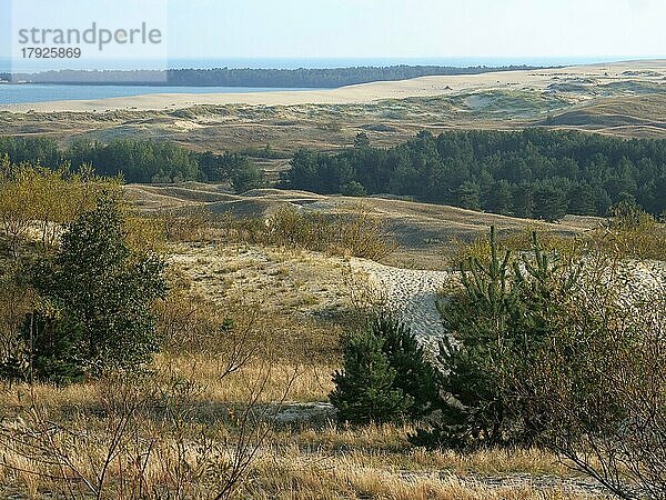 Die Parnidis-Düne im Nationalpark Kurische Nehrung ist eine der grössten Wanderdünen Europas. Im Hintergrund das Kurische Haff  Parnidis Düne  Nida  Kurische Nehrung  Litauen  Europa