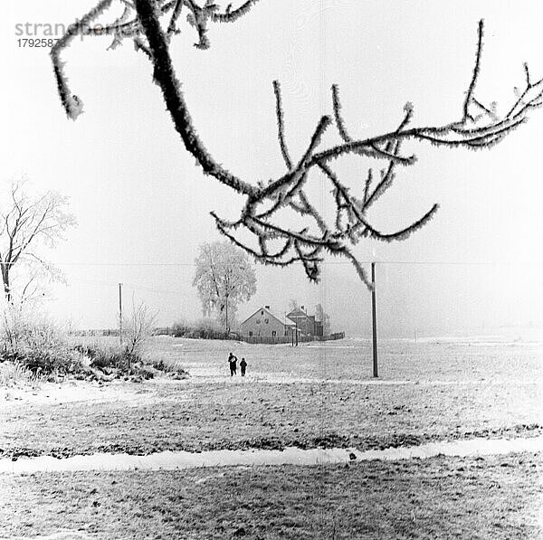 Winter in der CSSR  Prag und Umgebung am 28. 12. 1961  CZE  Tschechien  Europa