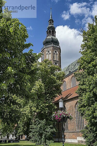 Der Dom St. Nikolai in Greifswald  Mecklenburg-Vorpommern  Deutschland  Europa