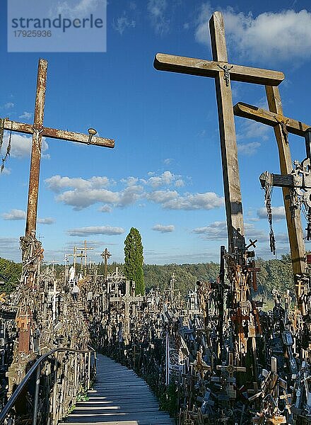 Der Berg der Kreuze ist ein katholisch und touristisch geprägter Wallfahrtsort und eine der Sehenswürdigkeiten  Siauliai  Litauen  Europa