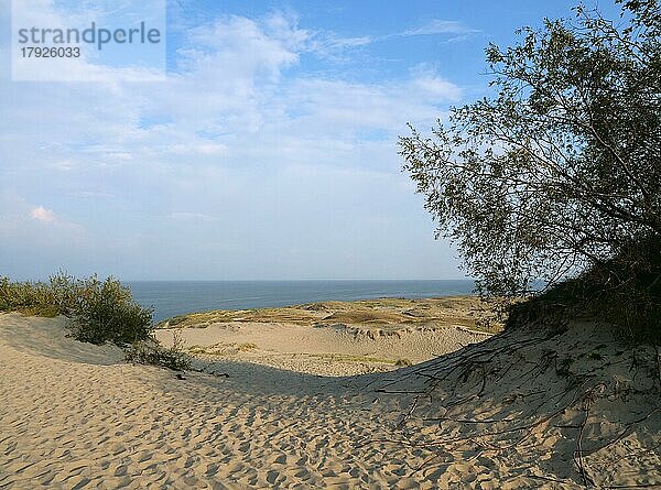 Die Parnidis-Düne im Nationalpark Kurische Nehrung ist eine der grössten Wanderdünen Europas. Im Hintergrund das Kurische Haff  Parnidis Düne  Nida  Kurische Nehrung  Litauen  Europa