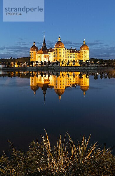 Schloss Moritzburg zur blauen Stunde  Moritzburg  Landkreis Meißen  Sachsen  Deutschland  Europa