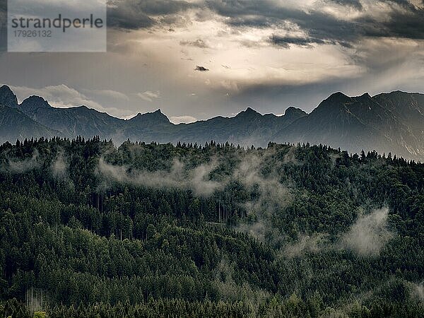 Wald mit Alpenpanorama bei Roßhaupten im schwäbischen Landkreis Ostallgäu  Allgäu  Bayern  Deutschland  Europa