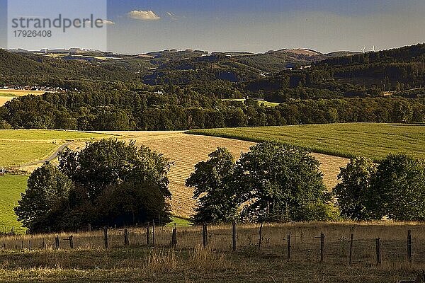 Landschaft in Eisborn  Balve  Sauerland  Nordrhein-Westfalen  Deutschland  Europa