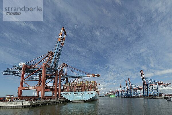 Containerterminals Eurogate und Burchardkai  Photomerge  Waltershof  Hamburg  Deutschland  Europa