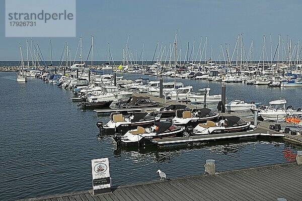 Yachthafen  Möwe  Kühlungsborn  Mecklenburg-Vorpommern  Deutschland  Europa