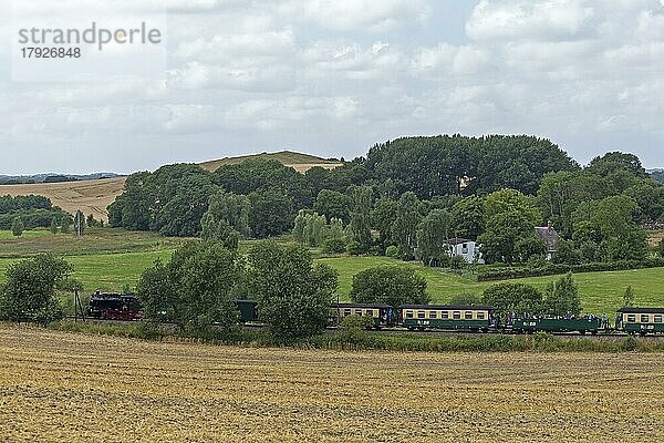 Dampfeisenbahn Rasender Roland  Nistelitz  Insel Rügen  Mecklenburg-Vorpommern  Deutschland  Europa