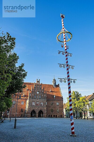 Maibaum vor Rathaus Jüterbog  Brandenburg  Deutschland  Europa