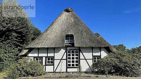 Reet Dach Bauernhaus mit Sachsen Giebel an einer Landstraße in Grönland  Sommerland  Schleswig-Holstein  Deutschland  Europa