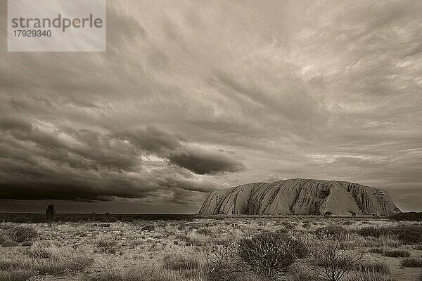 Dunkle bedrohliche Regenwolken hängen über dem Uluru (Ayers Rock)  schwarzweiß  sepia  monochrom  Australien  Ozeanien