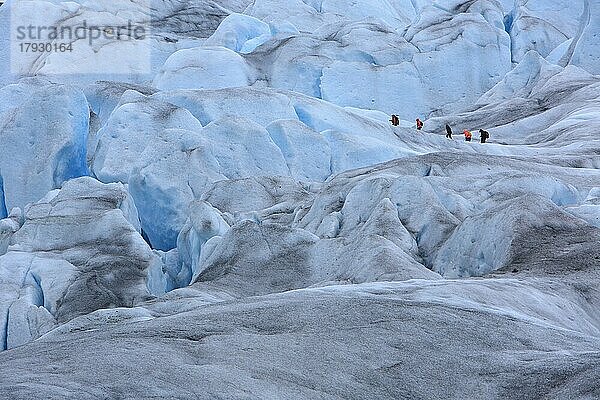 Eine Gruppe Bergsteiger wandert über einen Gletscher mit blauem Eis und vielen Spalten  Nigardsbreeen  Norwegen  Europa