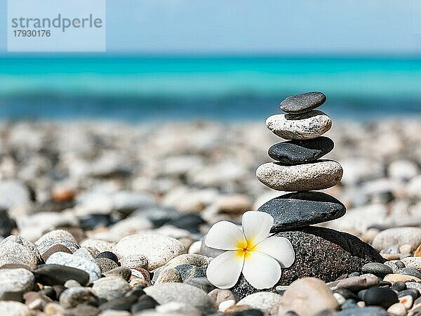 Zen-Meditation Spa Entspannung Hintergrund  ausgewogene Steine stapeln mit Frangipani Plumeria Blume Nahaufnahme auf Meer Strand