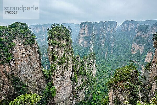 Berühmte Touristenattraktion in China  Avatar Hallelujah Mountain in Zhangjiajie Steinsäulen-Felsenberge in Wulingyuan  Hunan  China  Asien