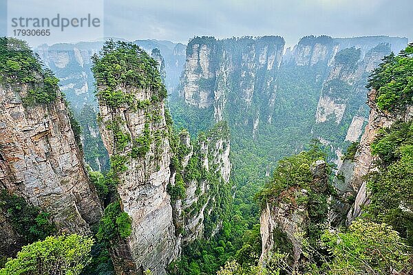 Berühmte Touristenattraktion in China  Avatar Hallelujah Mountain in Zhangjiajie Steinsäulen-Felsenberge in Wulingyuan  Hunan  China  Asien