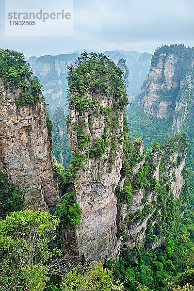 Berühmte Touristenattraktion in China  Avatar Hallelujah Mountain in Zhangjiajie Steinsäulen-Felsenberge in Wulingyuan  Hunan  China  Asien