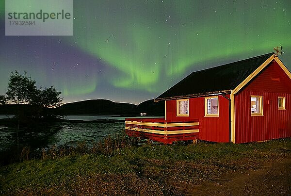 Kleine  rote Ferienhütte aus Holz  Nordlichter (aurora borealis) überziehen den Himmel  Alstahaug  Küstenstraße 17  Nordland  Norwegen  Europa