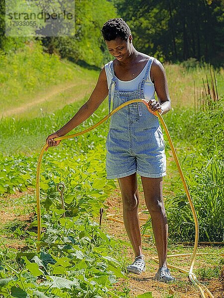 Kurzhaarige junge Afrikanerin in Jeans-Latzhose  die den Gemüsegarten mit einem Schlauch bewässert und sich um das Gemüse auf dem Biohof kümmert