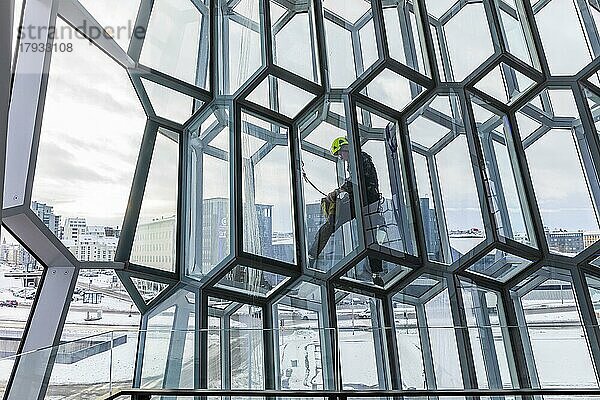 Fensterputzer bei der Reinigung der gläsernen Fassade der Konzerthalle und Kongresszentrum Harpa  Innenansicht  Halbinsel Reykjanes  Sudurnes  Island  Europa