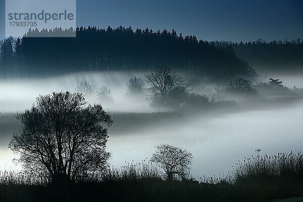 Flusslandschaft mit Bodennebel bei Vollmond in der Nacht  Silhouetten von Bäumen  Alz  Chiemgau  Bayern  Deutschland  Europa