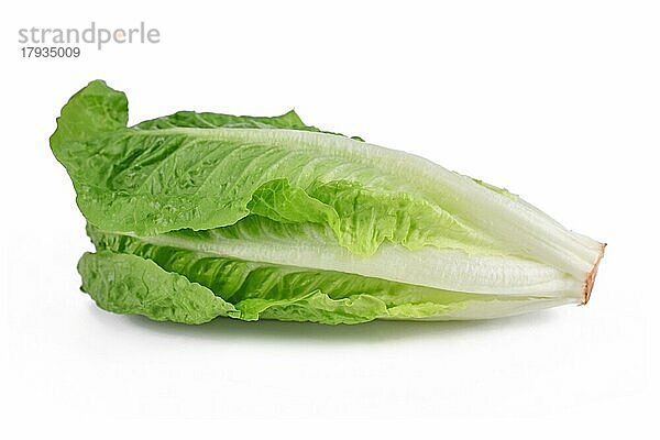 Römischer Salat Gemüse auf weißem Hintergrund