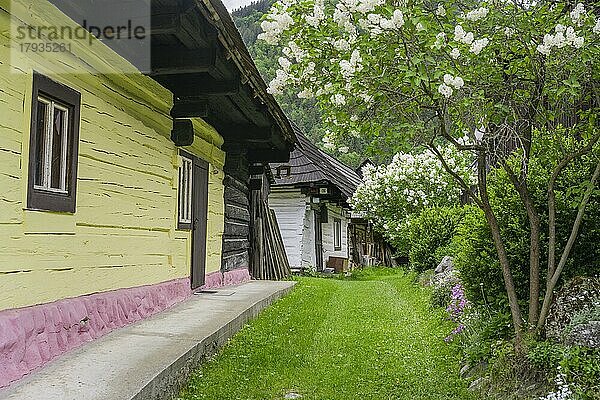 Bunt bemalte Holzhäuser im Dorf Vlkolinec  Unesco Welkulturerbe  Ru?omberok  ?ilinský kraj  Slowakei  Europa