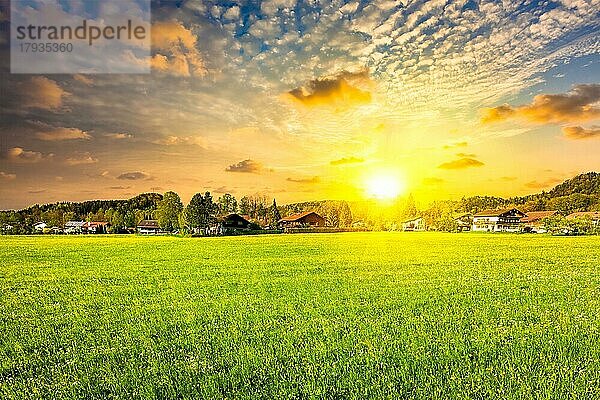Idyllische ländliche Szene einer Wiese auf dem Lande bei Sonnenuntergang  Deutschland  Europa