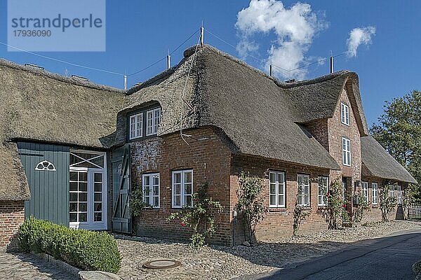 Reetgedecktes Friesenhaus  Föhr  Nordfriesische Insel  Nordfriesland  Schleswig-Holstein  Deutschland  Europa