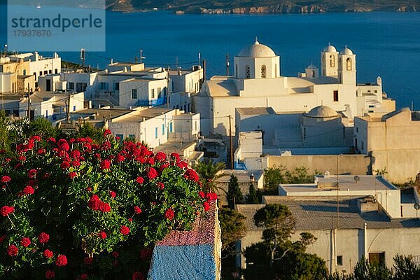 Blick auf das Dorf Plaka auf der Insel Milos über rote Geranienblüten bei Sonnenuntergang. Plaka Stadt  Insel Milos  Griechenland. Fokus auf Blumen