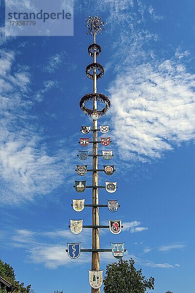 Maibaum  Niedersonthofen  Allgäu  Bayern  Deutschland  Europa