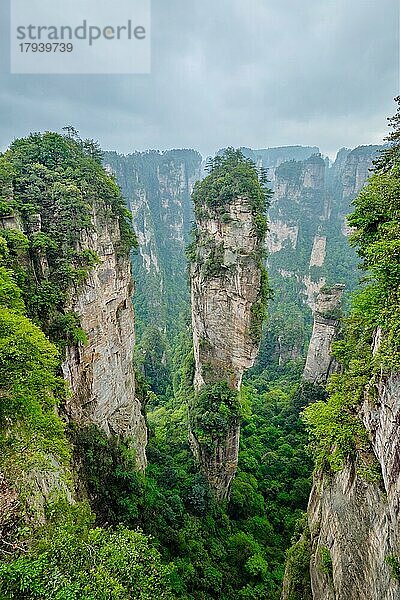 Berühmte Touristenattraktion in China  Avatar Hallelujah Mountain in Zhangjiajie Steinsäulen-Felsenberge in Wulingyuan  Hunan  China  Asien