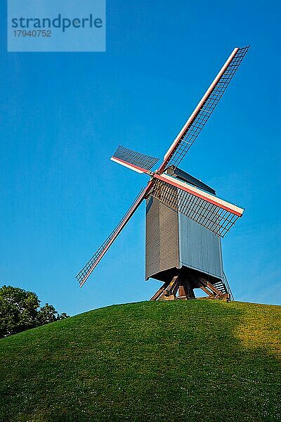 Windmühle Sint-Janshuismolen Sint-Janshuis Mill in Brügge  Belgien  Europa