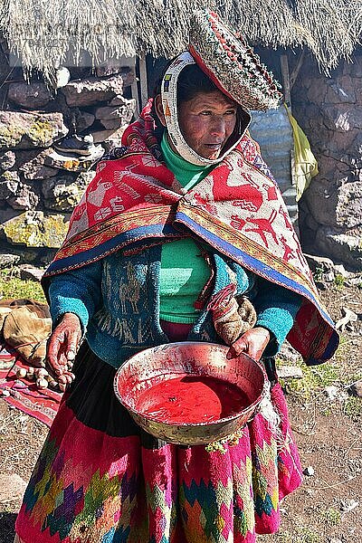 Frau in bunter traditioneller Tracht und Hut mit einer Schüssel Blut vom Schlachten  Anden  bei Cusco  Peru  Südamerika