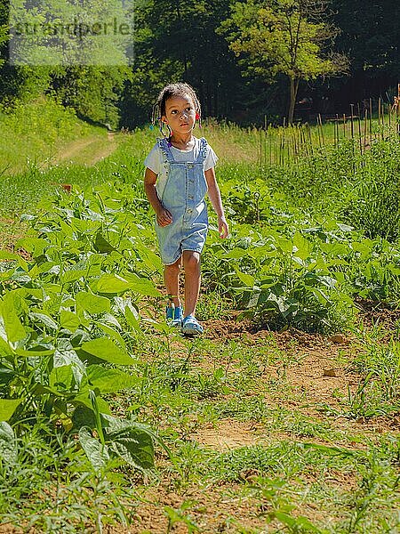 Afrikanisches kleines Mädchen  das im Sommer in einem Gemüsegarten auf dem Bauernhof spazieren geht und sich um die Pflanzen kümmert  trägt eine Salopette aus Jeansstoff