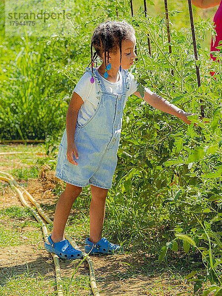 Afrikanisches kleines Mädchen im Gemüsegarten auf dem Bauernhof  das sich um die Pflanzen kümmert und im Sommer eine Jeans-Salopette trägt