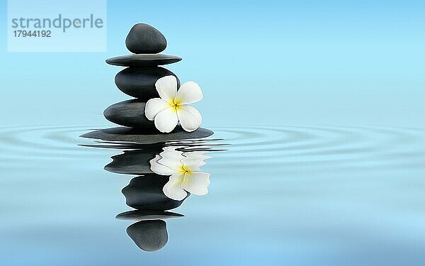 Zen-Spa-Konzept Panorama-Banner-Bild  Zen-Massage-Steine mit Frangipani Plumeria Blume im Wasser Reflexion