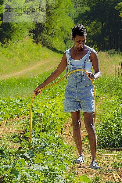 Kurzhaarige junge Afrikanerin in Jeans-Latzhose  die den Gemüsegarten mit einem Schlauch bewässert und sich um das Gemüse auf dem Biohof kümmert